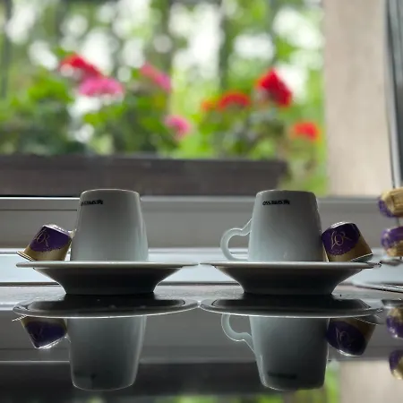 Dristor - Foarte Curat Si Frumos * Бухарест