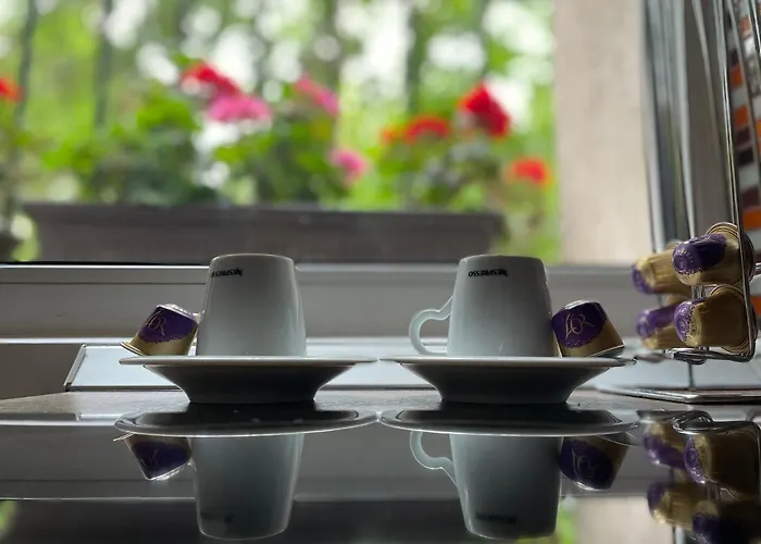 Dristor - Foarte Curat Si Frumos * بوخارست