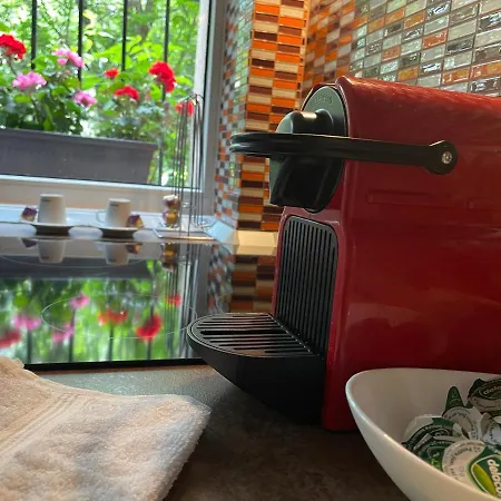 Dristor - Foarte Curat Si Frumos 부쿠레슈티